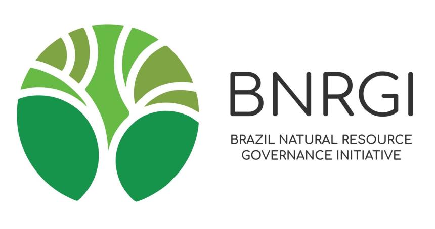 BNRGI logo